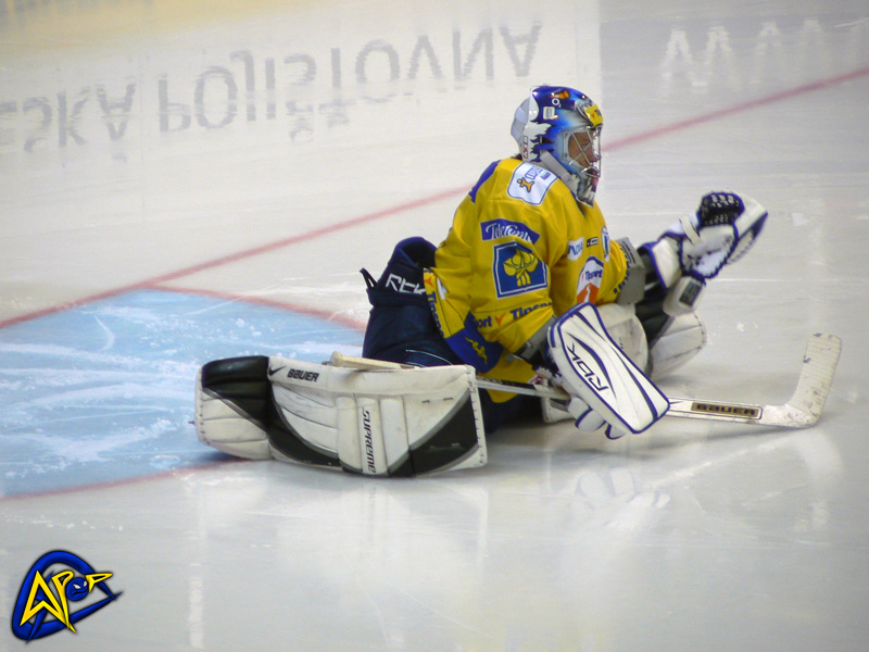 P1190086.jpg